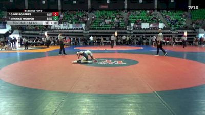 6A 120 lbs Semifinal - Gage Roberts, Hartselle vs Brooks Morton, Mortimer Jordan HS