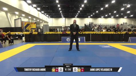 Jaime Lopez Velasquez III vs Timothy Richard Andre 2025 World IBJJF Jiu-Jitsu No-Gi Championship