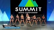 The Vision Dance Center - Junior Small Lyrical [2025 Junior - Contemporary/Lyrical - Small Finals] 2025 The Dance Summit