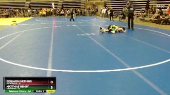 100 lbs Champ. Round 1 - Benjamin Nething, Paynesville vs Matthias Henry, Greenbush