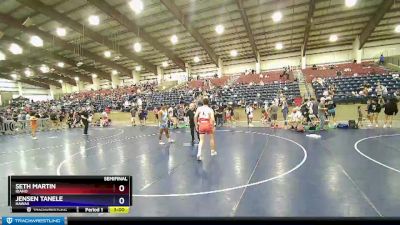 170 lbs Semifinal - Seth Martin, Idaho vs Jensen Tanele, Hawaii