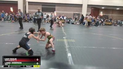 65 lbs Finals (2 Team) - Liam Osolin, Team Palmetto vs Laken Anderson, Ares