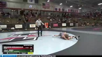 133 lbs Quarterfinal - Brandon Borlinghaus, Drury vs Cole Jones, Minnesota State - Moorhead