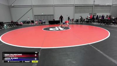 125 lbs Round 3 (4 Team) - Siena Palmisciano, North Carolina vs Aspen Blasko, Minnesota