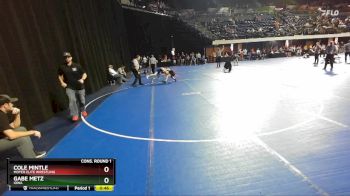 110 lbs Cons. Round 1 - Cole Mintle, Moyer Elite Wrestling vs Gabe Metz, Iowa