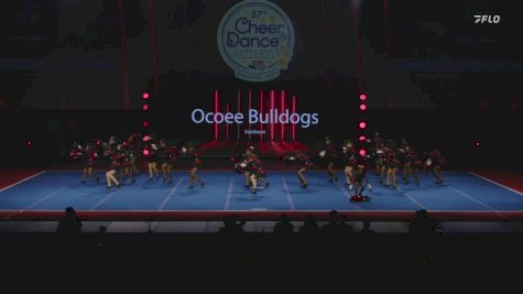 Ocoee Bulldogs - Southeast [2024 Mid Florida Pop Warner Wednesday] 2024 Pop Warner National Cheer & Dance Championship