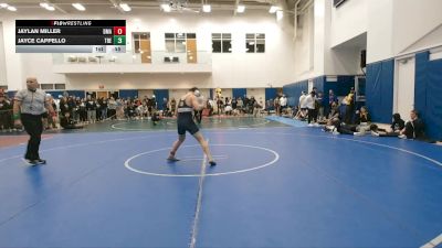 138 lbs Cons. Round 2 - Jayce Cappello, Toms River East vs Jaylan Miller, Delaware Military Academy