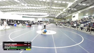 149 lbs Cons. Semi - Nicolas Balella, Castleton vs Zachary Weiner, Johnson & Wales (RI)