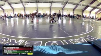 133 lbs Quarterfinal - Trent Proctor, Ferrum College vs Amarfio Reynolds, Gannon University