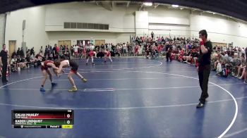 110 lbs Finals (8 Team) - Calan Manley, Team Rogue vs Kaden Lindquist, Minnesota Gold