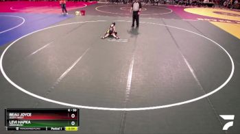 50 lbs Quarterfinal - Beau Joyce, Scott West vs Levi Hapka, Greenbush