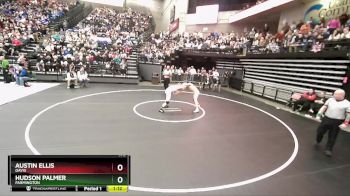 132 lbs Semifinal - Austin Ellis, Davis vs Hudson Palmer, Farmington