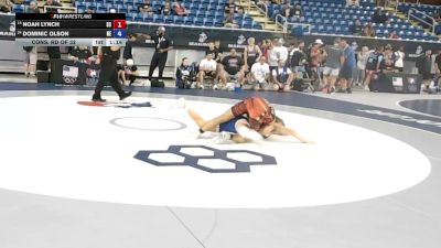 132 lbs Cons. Rd Of 32 - Noah Lynch, South Carolina vs Dominic Olson, Nebraska