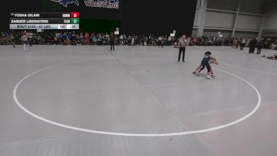 67 lbs Cons. Sub-rd Of 16 - Yusha Gilani, Gracie Barra Westchase Wrestling Club vs Zander Liberatore, Florida