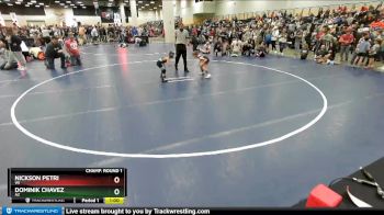 53 lbs Champ. Round 1 - Nickson Petri, WI vs Dominik Chavez, AZ