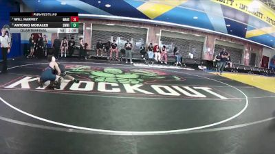 126 Gold Quarterfinal - Will Harvey, Wakulla Hs vs Antonio Morales, Southwest Miami