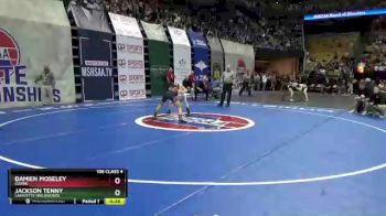 106 Class 4 lbs Cons. Round 3 - Jackson Tenny, Lafayette (Wildwood) vs Damien Moseley, Ozark