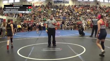 102 lbs Quarterfinal - Brooklin Gildner, Teays Valley vs Avery Gaskalla, Clyde Amateur