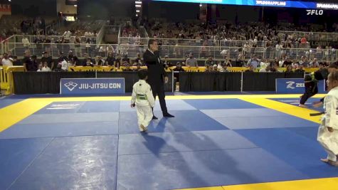 Julius Armani Alexander vs Roman Leon Polanco 2025 Pan Kids Jiu-Jitsu IBJJF Championship