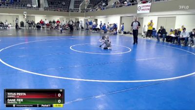 45 lbs Finals (8 Team) - Dane Fier, Minneota vs Titus Pesta, Sartell