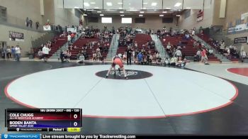 120 lbs Quarterfinal - Cole Chugg, All In Wrestling Academy vs Boden Banta, Upper Valley Aces