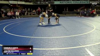 109 lbs Champ. Round 1 - Jaslynn Gallegos, North Central (IL) vs Consuelo Garcia, McKendree University