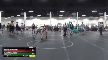 160 lbs Round 5 (8 Team) - Charlie Mesich, TDWC vs Wyatt Haskell, D3PRIMUS