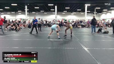 110 lbs Placement (4 Team) - Blake Nash, Black Fox Wrestling vs Vladimir Cesar Jr, Ohio Gold