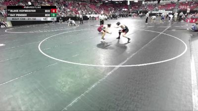 D1-165 lbs Cons. Round 1 - Ray Pember, Menomonie vs Blake Hofmeister, Muskego