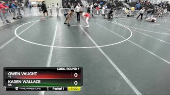 138 lbs Cons. Round 4 - Owen Vaught, TX vs Kaden Wallace, OK