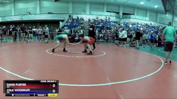 138 lbs Cons. Round 2 - David Purtee, OH vs Cole Woodruff, OH
