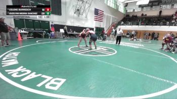 235 lbs Quarterfinal - Jozzlynn Medina Sanchez, Canyon Hills vs Celene Burresch, West Covina