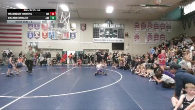 5 lbs Round 2 - Harrison Thorne, Hudson Pirate Elite vs Dalton Strand, Alburnett Mat Pack