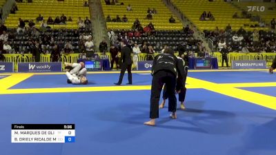 MICHELLE MARQUES DE OLIVEIRA vs BRUNA DRIELY RICALDE MACIEL 2024 Master International IBJJF Jiu-Jitsu North American Championship