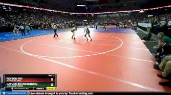 D1-160 lbs Quarterfinal - Peyton Fry, Reedsburg Area vs Cayden Brandenburg, Janesville Parker