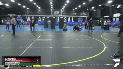 195 lbs Round 4 (8 Team) - Eli Murphy, Michigan Gold Pitbulls vs Jayden Button, Michigan Monkeys