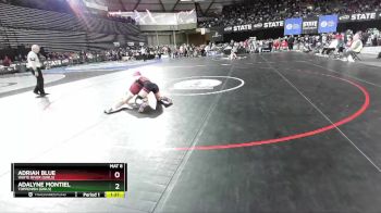 Girls 1B/2B/1A/2A 110 Quarterfinal - Adriah Blue, White River (Girls) vs Adalyne Montiel, Toppenish (Girls)