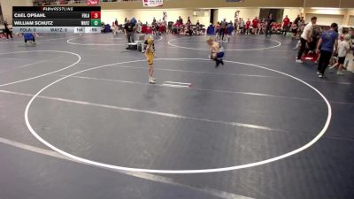 Elementary - 56 lbs Anderson Mays, Wayzata vs Briggs Dickey, Forest Lake