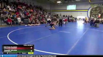 106 lbs Cons. Round 3 - Peyton Pilgrim, Assumption, Davenport vs Tanner Wilson, Independence