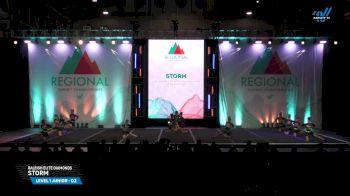 Raleigh Elite Diamonds - Storm [2025 L1 Junior - D2 Day 2] 2025 The Southwest Regional Summit