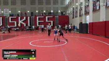 100 lbs Round 4 - Ella Harmon, Sparkman vs Sydney Morris, Mortimer Jordan HS