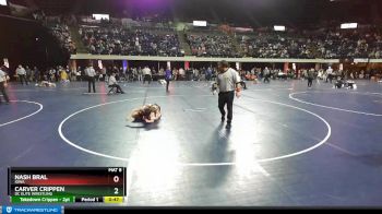 105 lbs Round 3 - Carver Crippen, DC Elite Wrestling vs Nash Bral, Iowa