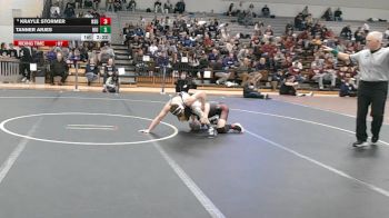 141 lbs Cons. Round 3 - Tanner Arjes, Upper Iowa vs Krayle Stormer, Northern State