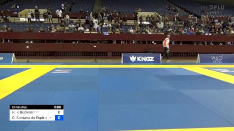 Hayden K Buckner vs Diego Santana Do Espírito Santo 2024 Pan IBJJF Jiu-Jitsu No-Gi Championship