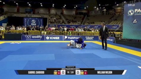 William Wilson vs Gabriel Cardoso 2026 Pan Jiu Jitsu IBJJF Championship