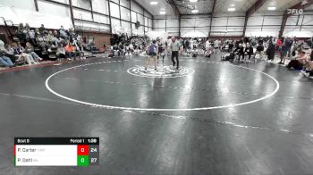 106 lbs Round 2 (8 Team) - Porter Dahl, Millard vs Preston Carter, Timpanogos