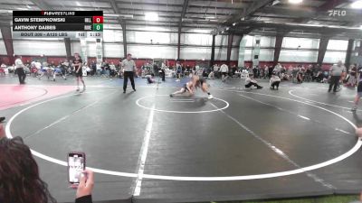 Consi Of 8 #2 - Gavin Stempkowski, Hillsdale vs Anthony Daibes, River Edge