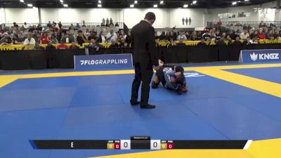 Natasha Dillon vs Emari Ja'khia Brown 2025 World IBJJF Jiu-Jitsu No-Gi Championship