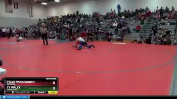 182 lbs Semifinal - Tyler Woodworth, Durango vs Ty Walck, Cedaredge