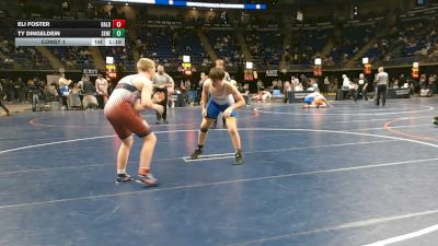 172 lbs Consy 1 - Eli Foster, Bald Eagle Area vs Ty Dingeldein, Seneca Valley